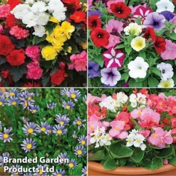 Nurseryman’s Choice Summer Favourites -Urban Lucky Shop TM 4image nurseryman without watermark