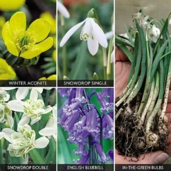 Spring Bulbs In The Green Collection -Urban Lucky Shop z bulb v59885 a h